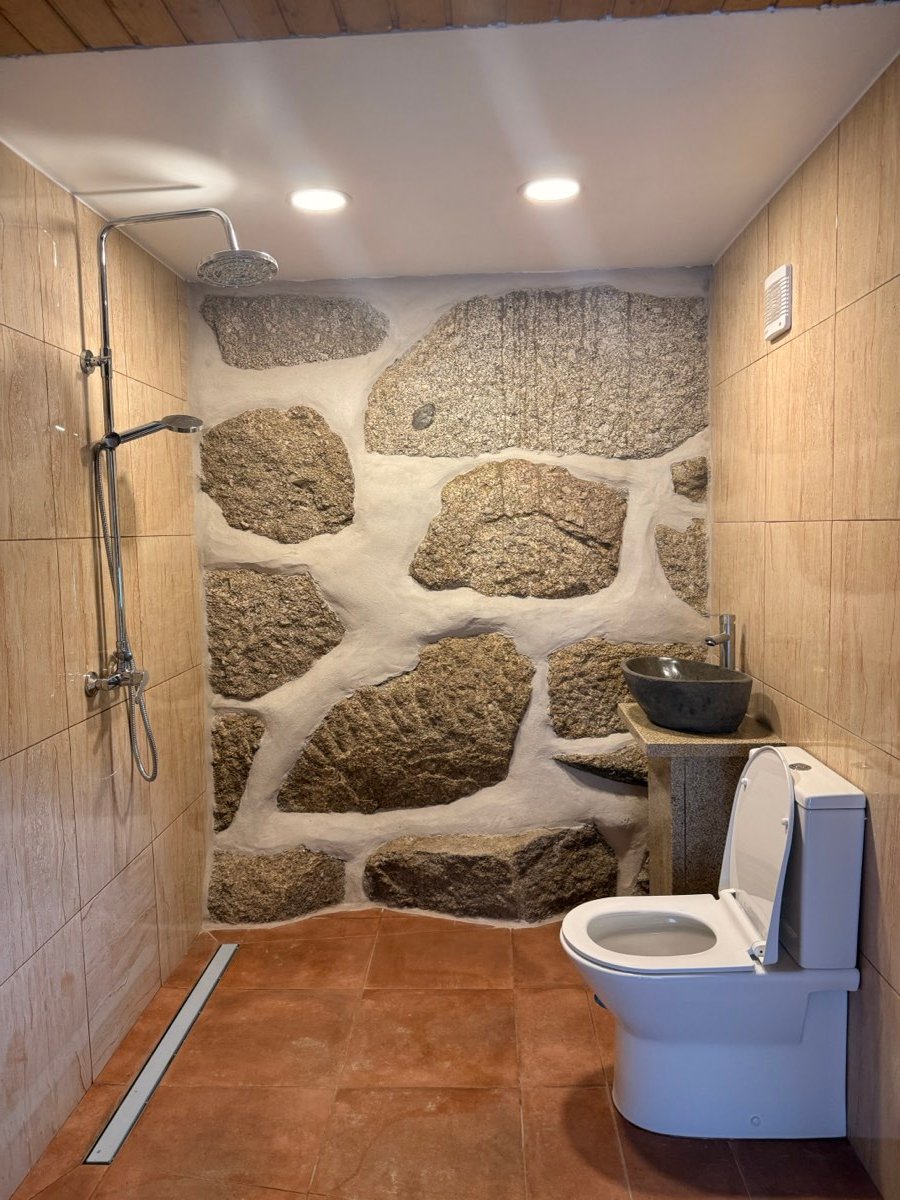 Casa de banho com parede de pedra, duche e sanita instalados